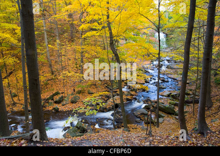 Schleifstein Creek und Grand fällt im Herbst, Bruce Trail, Niagara Escarpment, Hamilton, Ontario, Kanada Stockfoto