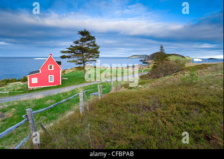 Küsten Heim und Iceberg, Neufundland, Kanada Stockfoto