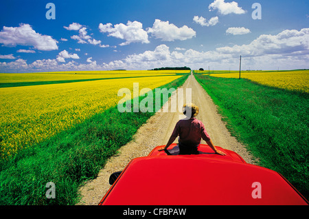 Ein Mann sitzt auf der Vorderseite seines Trucks mit Blick auf einer Landstraße mit blühenden Raps Felder, Tiger Hügel, Manitoba, Kanada Stockfoto