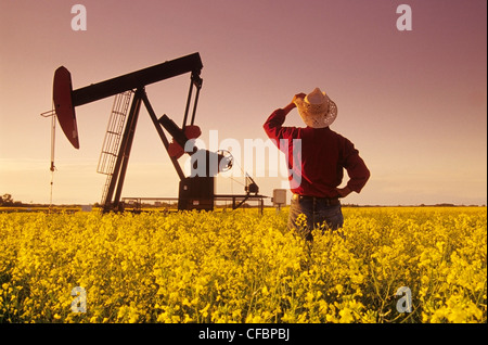 Ein Bauer blickt auf eine blühende Raps Feld mit einem Öl-Bohrschwengels im Hintergrund in der Nähe von Carlyle, Saskatchewan, Kanada Stockfoto