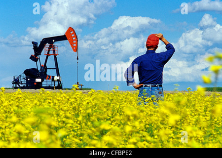 Ein Mann blickt auf eine blühende Raps Feld mit Öl Bohrschwengels im Hintergrund in der Nähe von Carlyle, Saskatchewan, Kanada Stockfoto