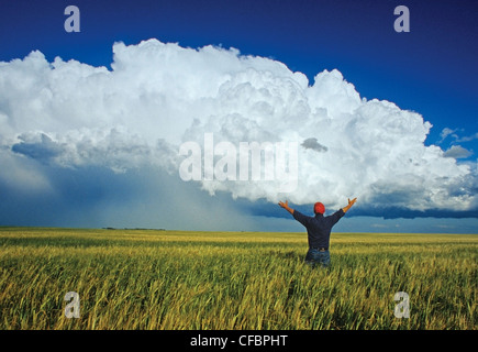 Ein Bauer blickt auf ein Gerstenfeld mit einer Cumulonimbus Wolke Masse im Hintergrund bei Bromhead, Saskatchewan, Kanada Stockfoto