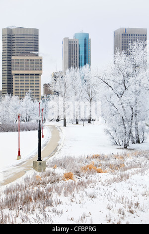 Winnipeg Skyline an einem schönen Wintertag. Bäume in Schnee und Frost bedeckt. Winnipeg, Manitoba, Kanada. Stockfoto