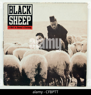 Schwarze Schafe, ein Wolf im Schafspelz Kleidung Album-cover Stockfoto