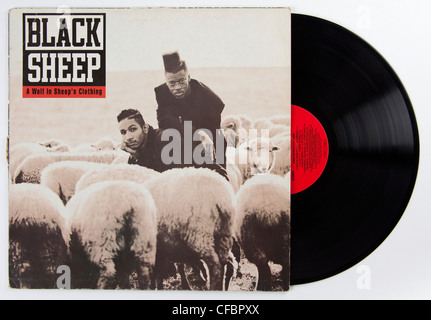 Schwarze Schafe, ein Wolf im Schafspelz Kleidung album Stockfoto