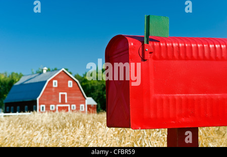 Nahaufnahme der ländlichen Mailbox mit roten Scheune und Frühjahr Weizenfeld im Hintergrund, Grande Pointe, Manitoba, Kanada Stockfoto