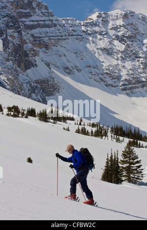 Mann Skitouren, Parker Ridge, Banff Nationalpark, Alberta, Kanada Stockfoto