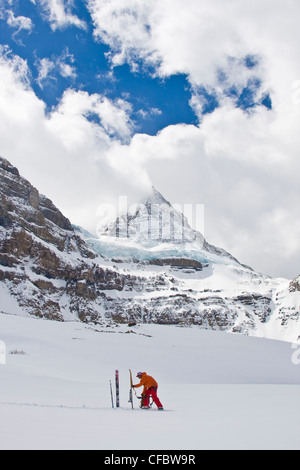 Backcountry Skifahrer auf seine Skins in Mount Assiniboine, Mount Assiniboine Provincial Park in British Columbia, Kanada Stockfoto