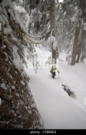 Junge Frau Schneeschuhwandern auf dem ersten Lake Trail am Seymour Mountain. North Vancouver, British Columbia, Kanada Stockfoto