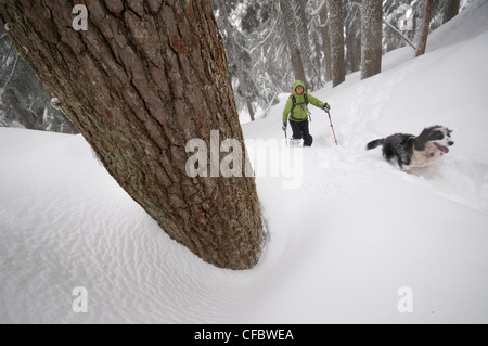 Junge Frau Schneeschuhwandern auf dem ersten Lake Trail am Seymour Mountain. North Vancouver, British Columbia, Kanada Stockfoto