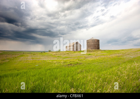 Gewitter in der Nähe von Morse, Saskatchewan, Kanada. Stockfoto