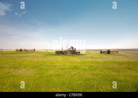 Verlassenen Bauernhof in Bad Hills, Kanada, Saskatchewan. Stockfoto