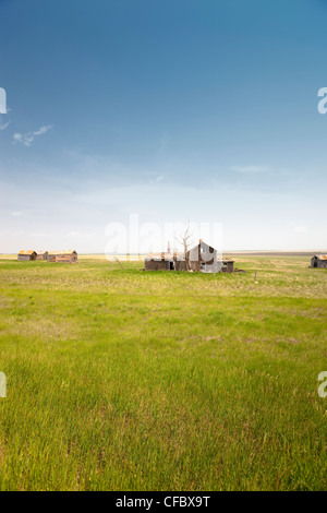 Verlassenen Bauernhof in Bad Hills, Kanada, Saskatchewan. Stockfoto