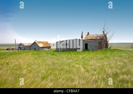 Verlassenen Bauernhof in Bad Hills, Kanada, Saskatchewan. Stockfoto