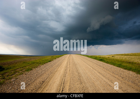 Gewitterwolken über eine unbefestigte Straße durch die Prärie, Saskatchewan, Kanada. Stockfoto