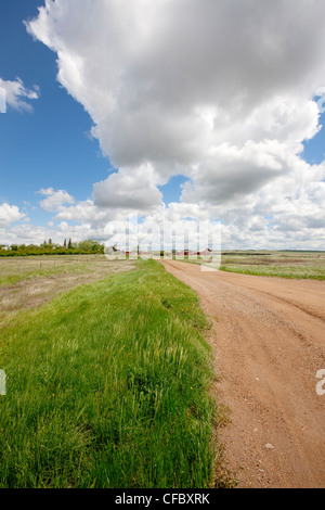 Bauernhof in Val Marie, Saskatchewan, Kanada. Stockfoto