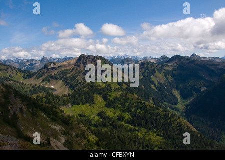 Winchester Berg vom Weg gelbe Aster Butte, Mt Baker Wildnis/Snoqualmie National Forest Cascade Mountains WA USA Stockfoto