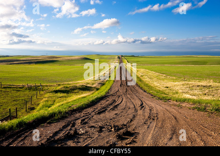 Kalium-Straße durch Farmland in Saskatchewan, Kanada. Stockfoto