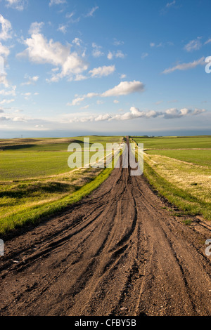 Kalium-Straße durch Farmland in Saskatchewan, Kanada. Stockfoto