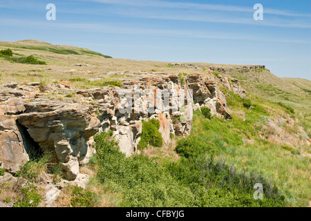 Kopf zertrümmert In Buffalo Jump, Alberta. Stockfoto