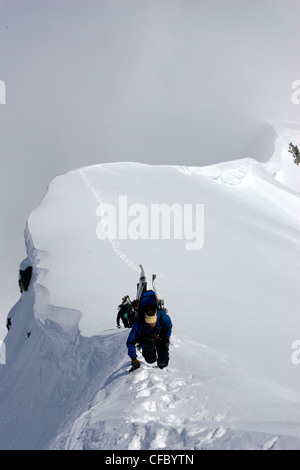 Eulen Weart Skitouren Keil Bergbesteigung, Whistler, BC, Kanada Stockfoto