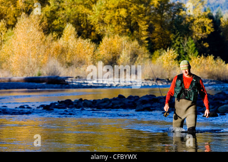 Fliegenfischen am frühen Morgenlicht, Squamish, BC, Kanada Stockfoto