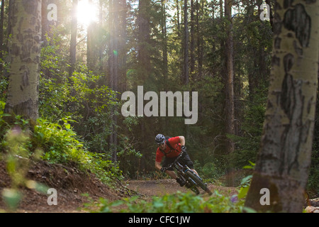 Ein Mountainbiker fährt die Highline-Trail in Canmore, AB Stockfoto