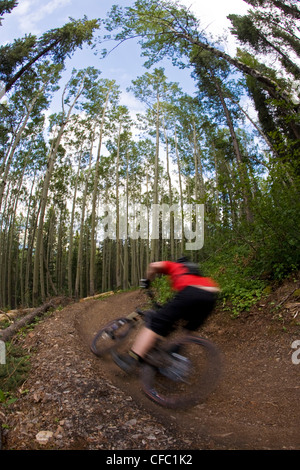 Ein Mountainbiker fährt die Highline-Trail in Canmore, AB Stockfoto