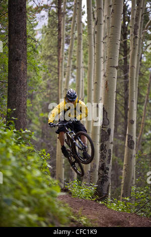 Ein Mountainbiker fährt die Highline-Trail in Canmore, AB Stockfoto