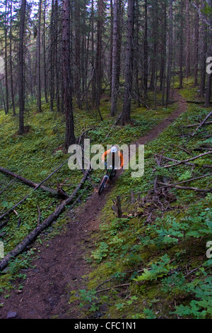 Ein Mountainbiker fährt die Highline-Trail in Canmore, AB Stockfoto