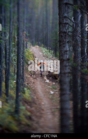 Ein Mountainbiker fährt die Highline-Trail in Canmore, AB Stockfoto