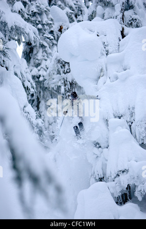 Whistler Backcountry Skifahrer durch Pulver in den Bäumen springen Stockfoto