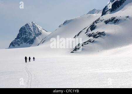 Eulen Weart Skitouren weniger Keil, Keil Gipfel, Whistler, BC, Kanada Stockfoto