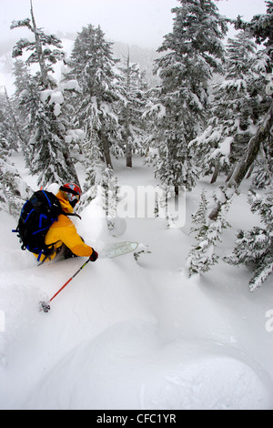 Skifahrer, Whistler, BC, Kanada Stockfoto