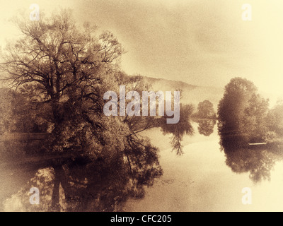 Altmühltal, Naturpark Altmühltal, Auenwaldes, am Fluss Wald, Fluss, Bach, Bayern, Oberbayern, Deutschland, Dollnstein, Stockfoto