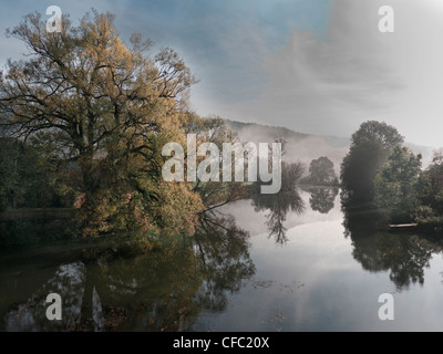 Altmühltal, Naturpark Altmühltal, Auenwaldes, am Fluss Wald, Fluss, Bach, Bayern, Oberbayern, Deutschland, Dollnstein, Stockfoto