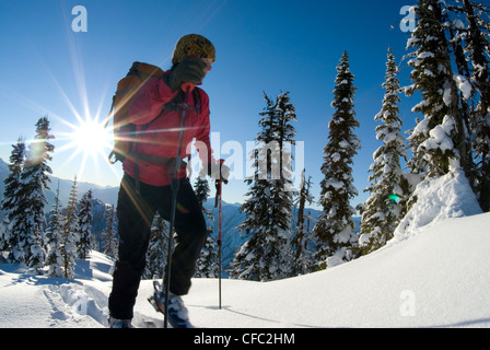 Ein junge Frau Skifahrer klettert Corbin Pass in der Nähe von Revelstoke, Britisch-Kolumbien Stockfoto