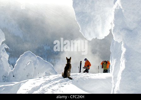 Zwei Skifahrer und ein Hund, der immer bereit für eine feine Backcountry heruntergekommen Whaleback, Nelson, Britisch-Kolumbien Stockfoto