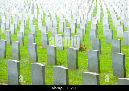 Woodland Friedhof zeigt endlose Grabstätten und ein Patch mit roten Blüten, Hamilton, Ontario, Kanada Stockfoto