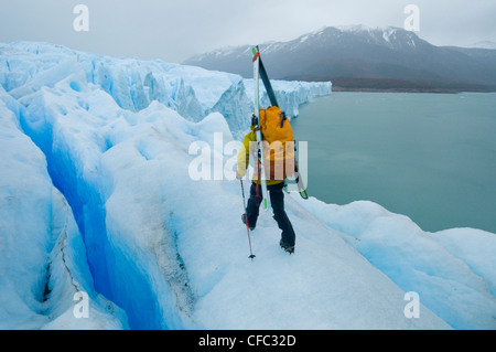 Ein gewagter Skifahrer geht durch die Zehe der Perito-Moreno-Gletscher im Parque Nacional Los Tundrazone, südlichen Patagonien, Argentinien Stockfoto