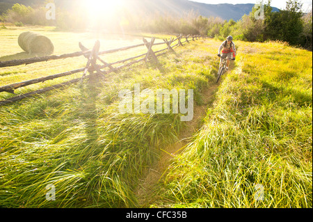 Ein Mountainbiker fährt in einem grasbewachsenen Heu-Feld in der nördlichen Chilcotin Region, Britisch-Kolumbien, Kanada Stockfoto