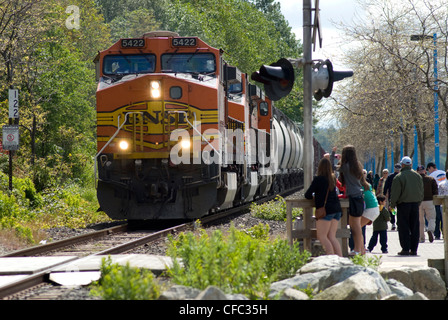 Ein BNSF gemischter Güterzug fährt durch White Rock, BC, Kanada. Stockfoto