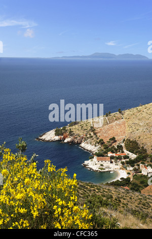 Dubovica Bay, Insel Hvar, Split-Dalmatien, Kroatien Stockfoto