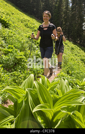 Zwei Frauen in Richtung durch die Wiesen entlang der Kirche Bergweg am Mt Baker Wildnis/Snoqualmie National Forest WA USA Stockfoto