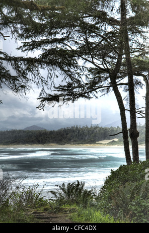 Long Beach, Tofino Wellen umrahmt von Bäumen Stockfoto