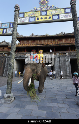 Touristisches Reiten Elefant, Zitadelle, Kaiserstadt Hue, Trung Bo, Vietnam Stockfoto