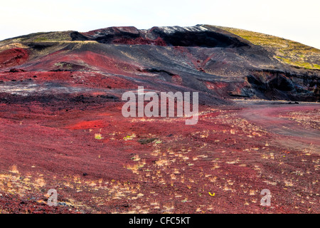 Farben in Lavaflows, Bjarnarflag, Island Stockfoto