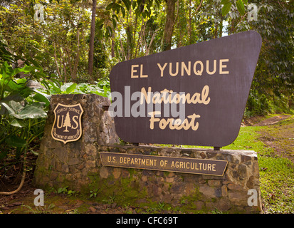 EL YUNQUE NATIONAL FOREST, PUERTO RICO - El Yunque National Forest Zeichen. Stockfoto