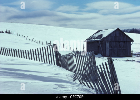 Scheune und Schneezaun im Winter, St. Honore, Beauce, Quebec, Kanada Stockfoto