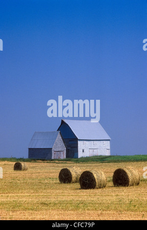 Wirtschaftsgebäude und Kautionen von Heu, Summerfield, Prince Edward Island, Canada Stockfoto